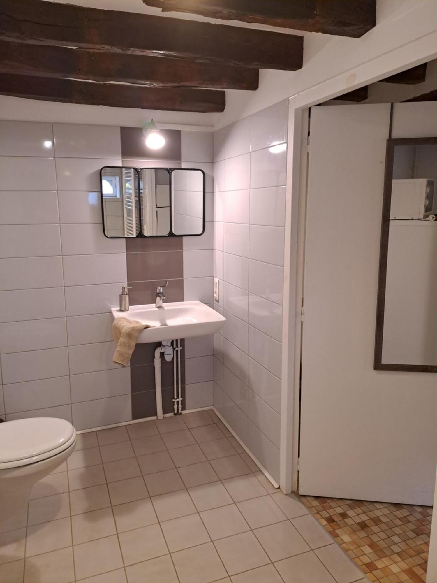 Gite Des Etangs De Beaulieu Le Plessis-Dorin Kültér fotó