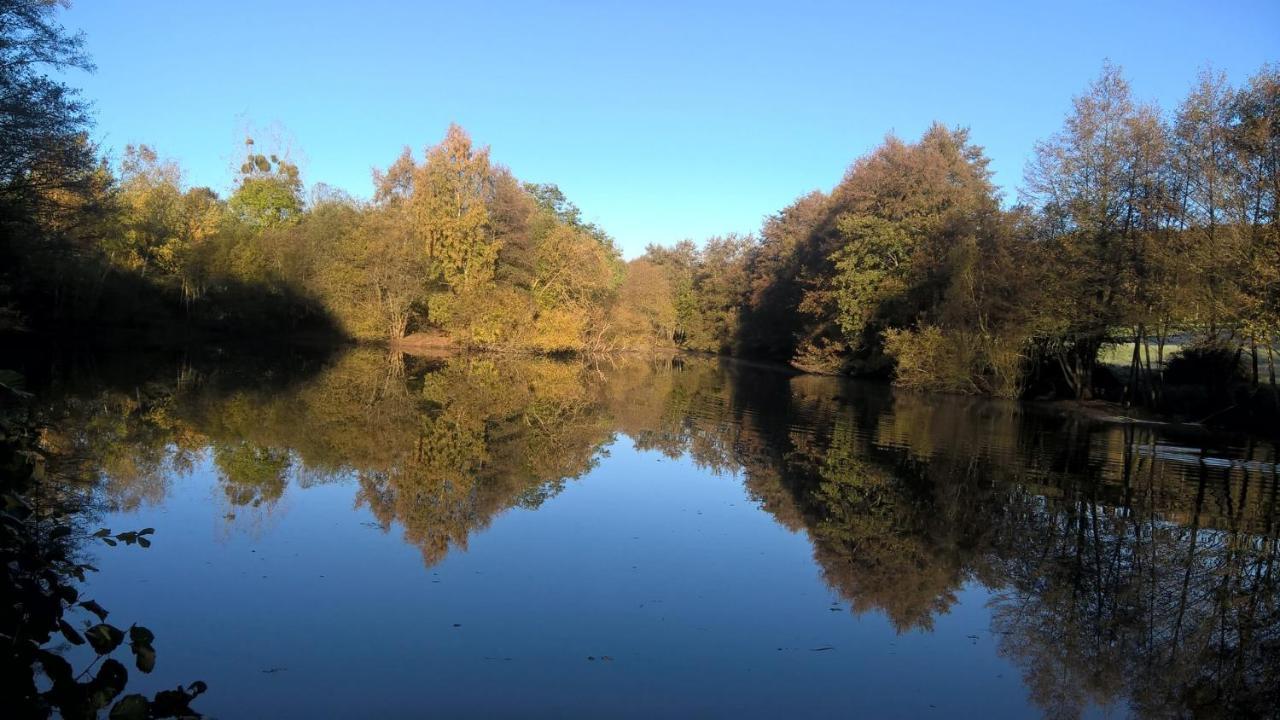 Gite Des Etangs De Beaulieu Le Plessis-Dorin Kültér fotó